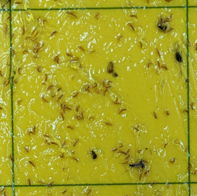 Photo 9.png